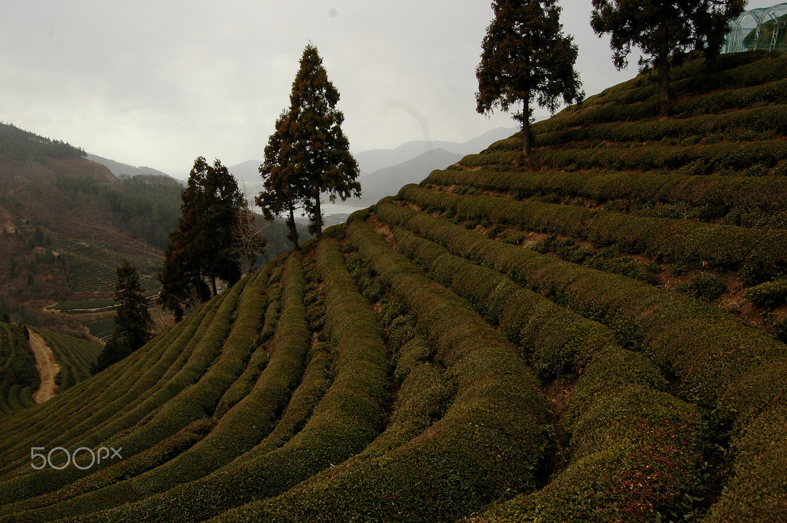 Nikon D70s sample photo. Landscape in korea photography