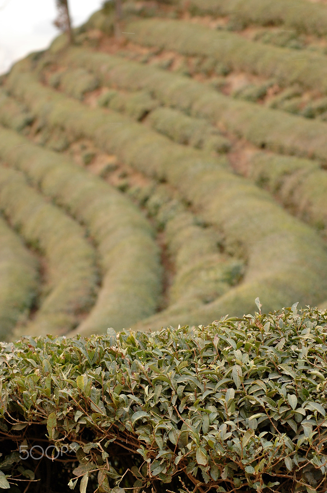 Nikon D70s + AF Nikkor 50mm f/1.8 N sample photo. Landscape in korea photography