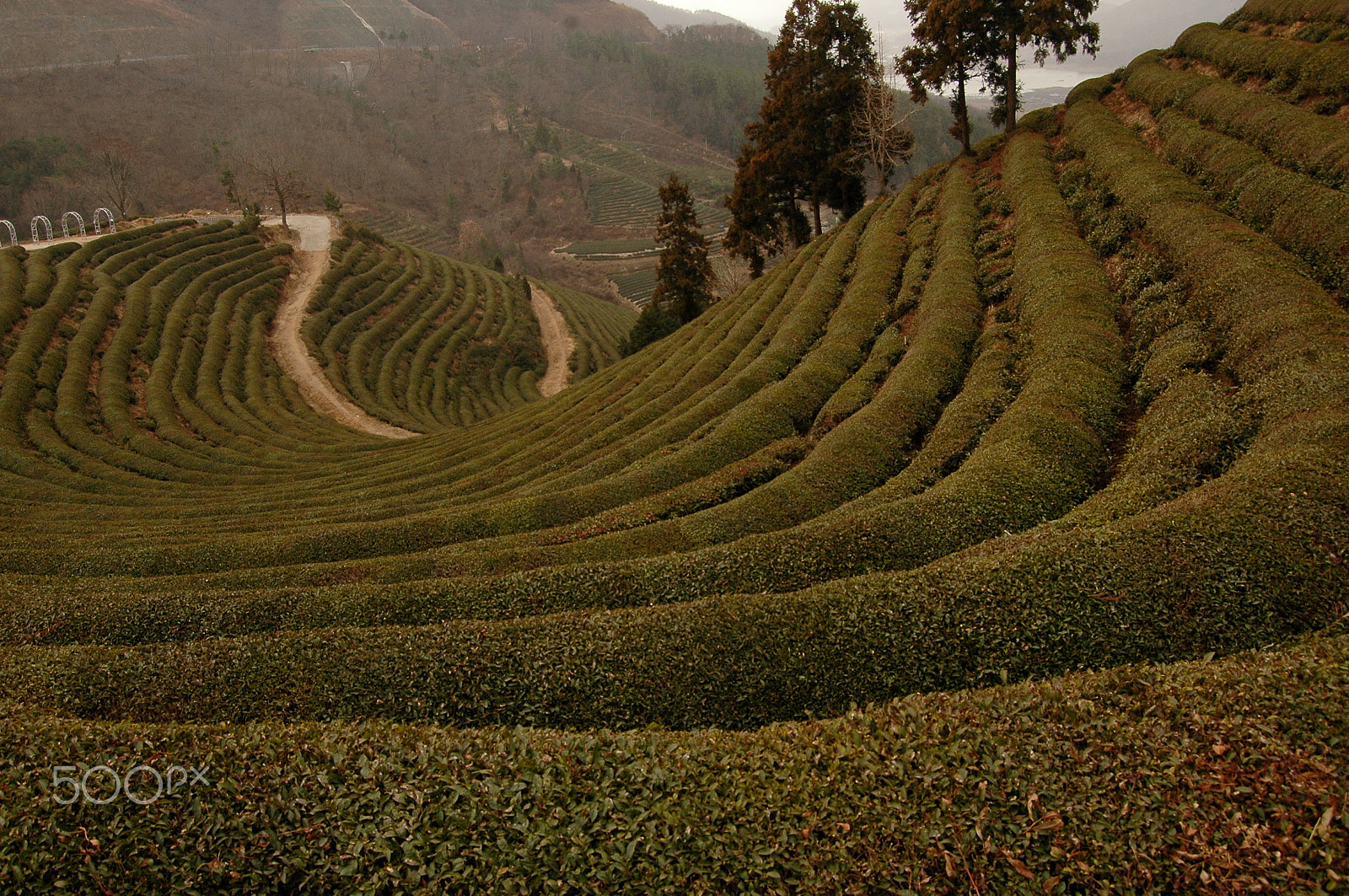 Nikon D70s sample photo. Landscape in korea photography