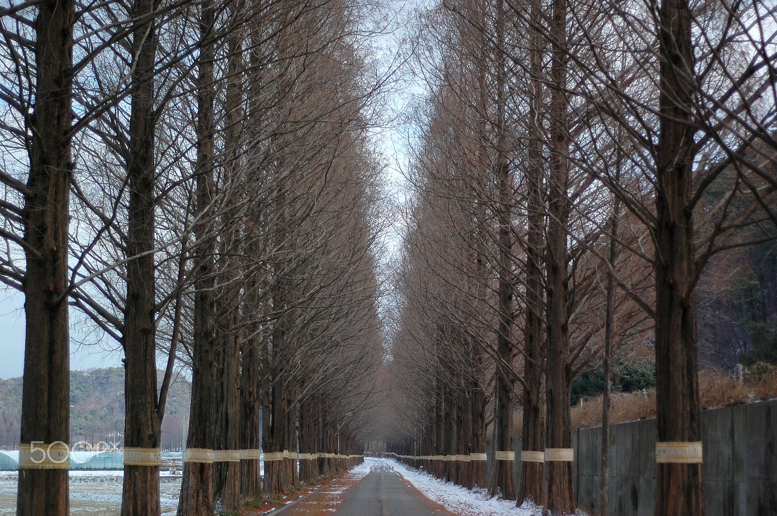 Nikon D70s + AF Nikkor 50mm f/1.8 N sample photo. Landscape in korea photography