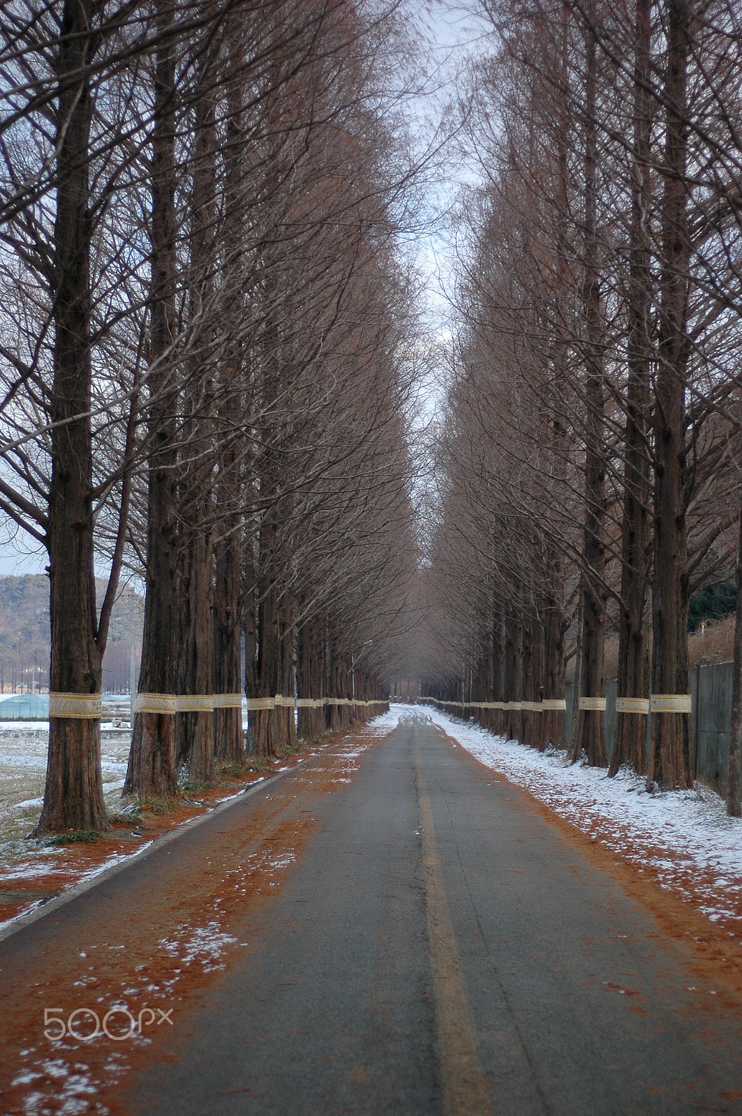 Nikon D70s + AF Nikkor 50mm f/1.8 N sample photo. Landscape in korea photography