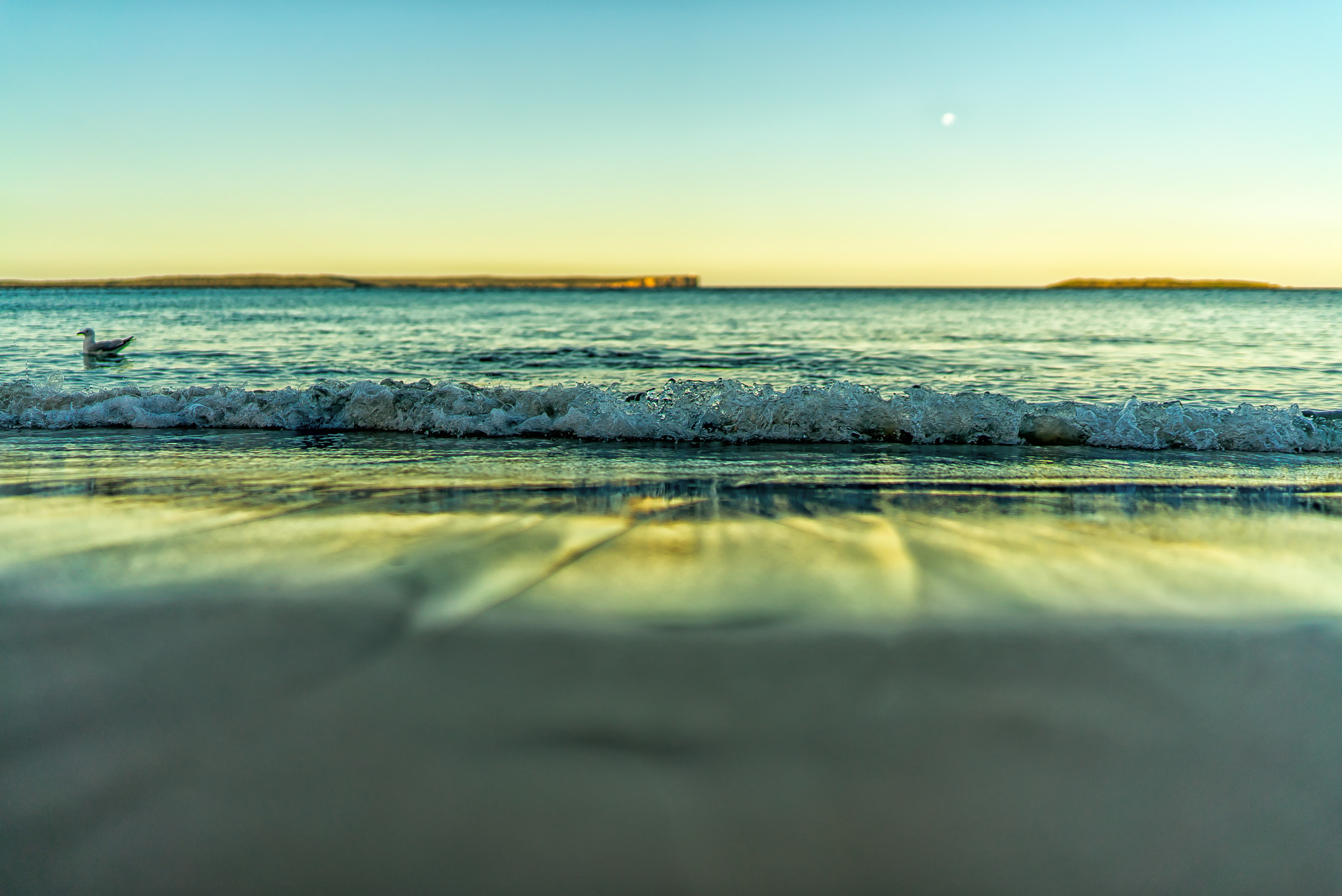 Sony a7S II + Sony Distagon T* FE 35mm F1.4 ZA sample photo. Jervis bay photography