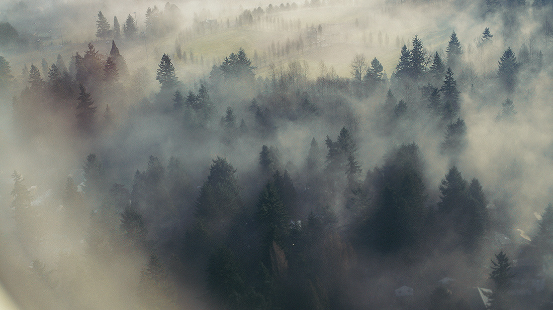 Minolta AF 50mm F1.4 [New] sample photo. The fog photography