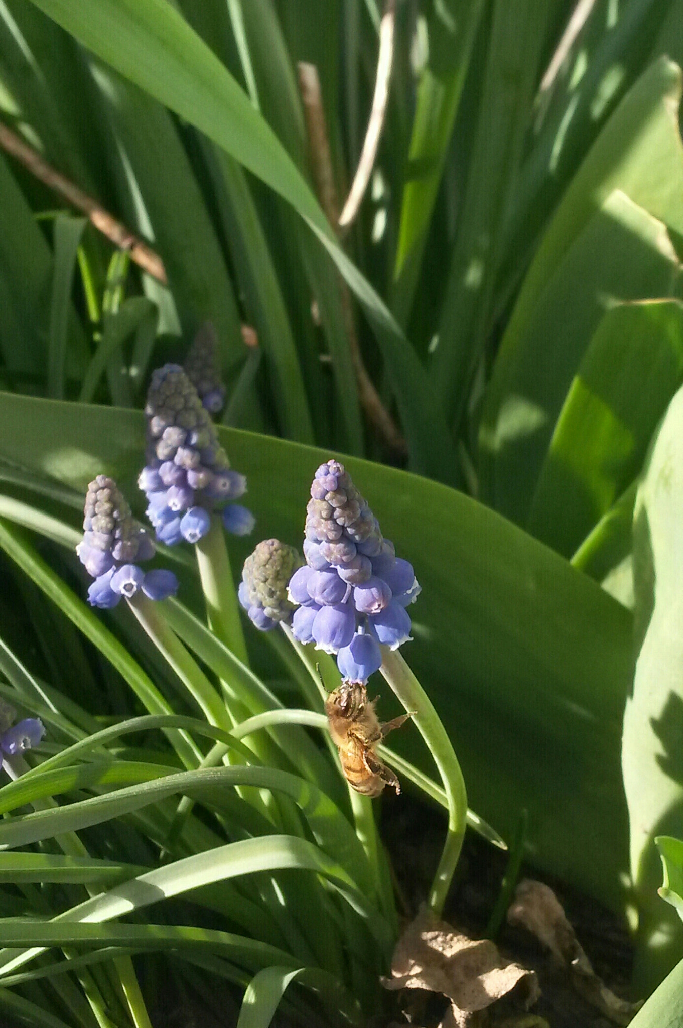 Samsung Galaxy S4 Active sample photo