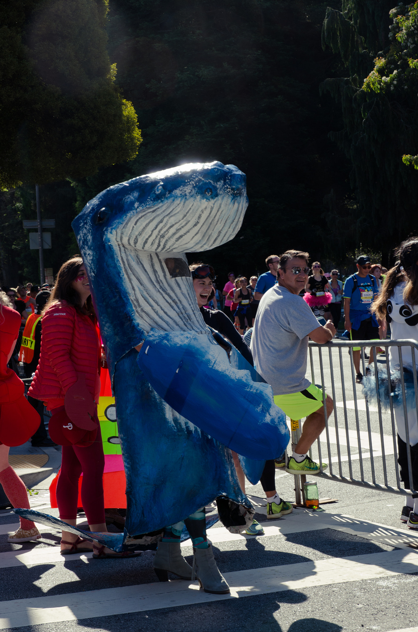 Pentax K-5 II sample photo. Whale hello there! photography