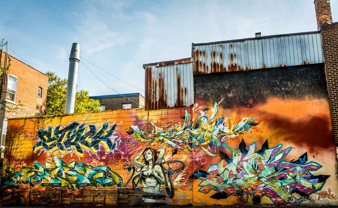 Sigma 17-70mm F2.8-4 DC Macro HSM | C sample photo. Murale photography