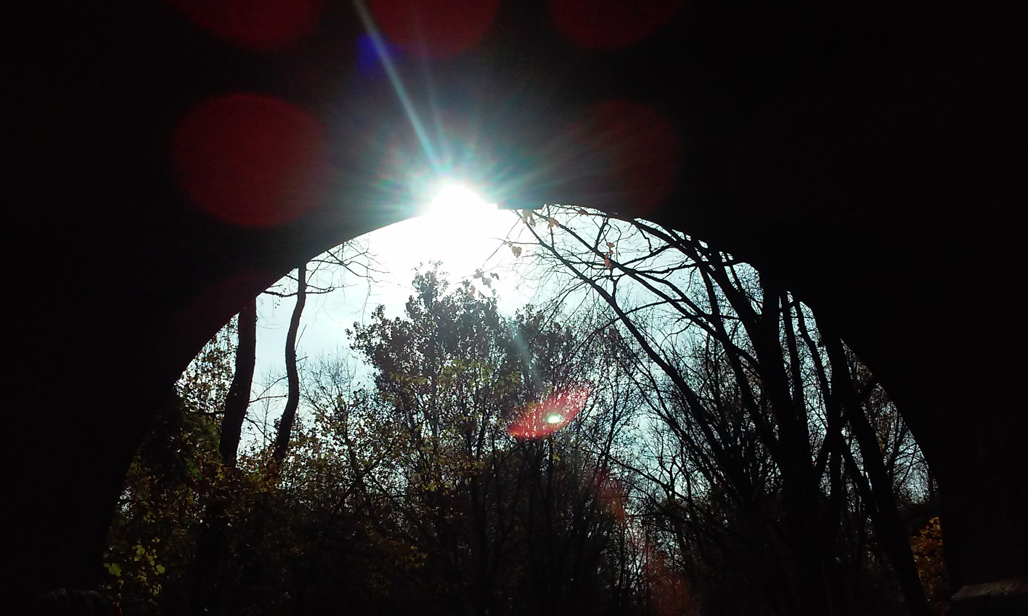 LG L70 sample photo. Globe illusion  photography