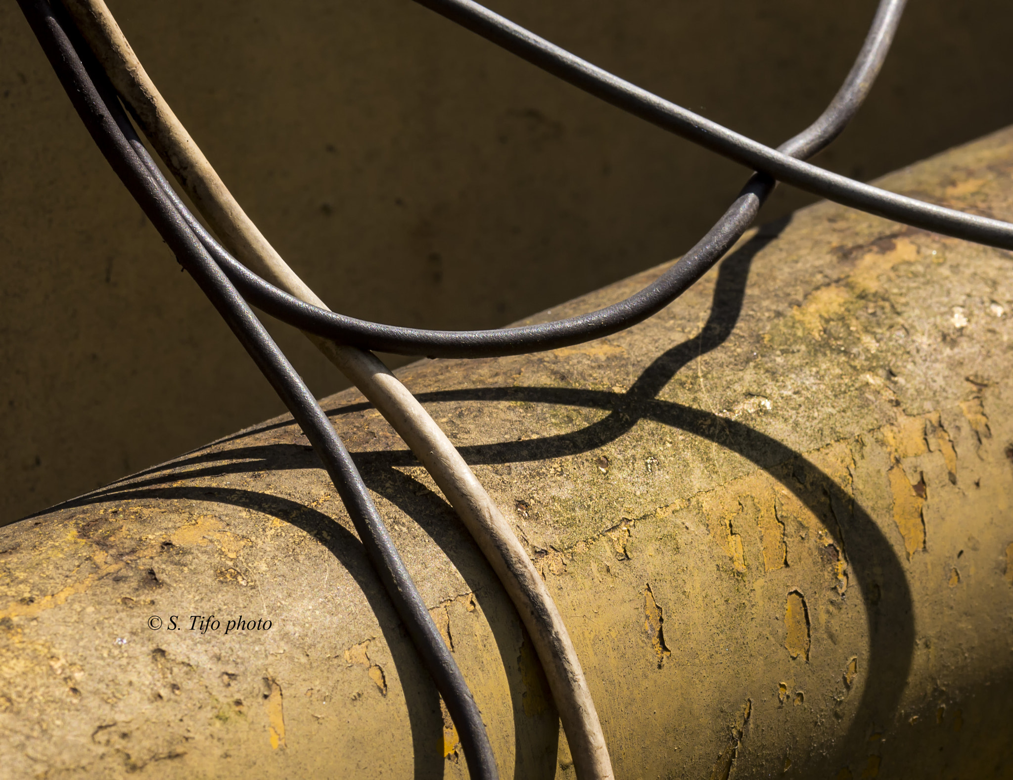 Sigma 105mm F2.8 EX DG OS HSM sample photo. Curves .. photography