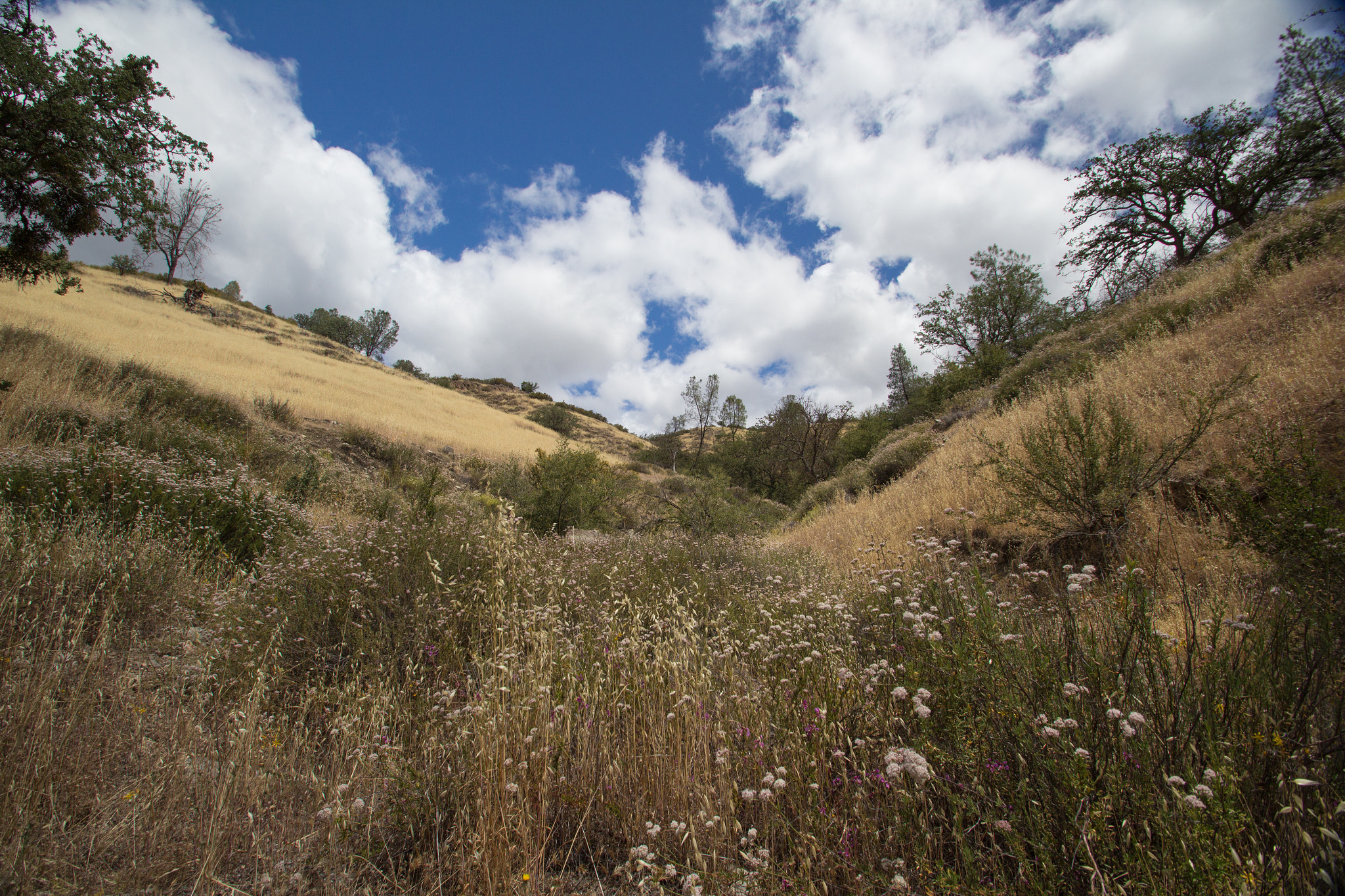 Sigma 10-20mm F3.5 EX DC HSM sample photo. Pinnacles photography