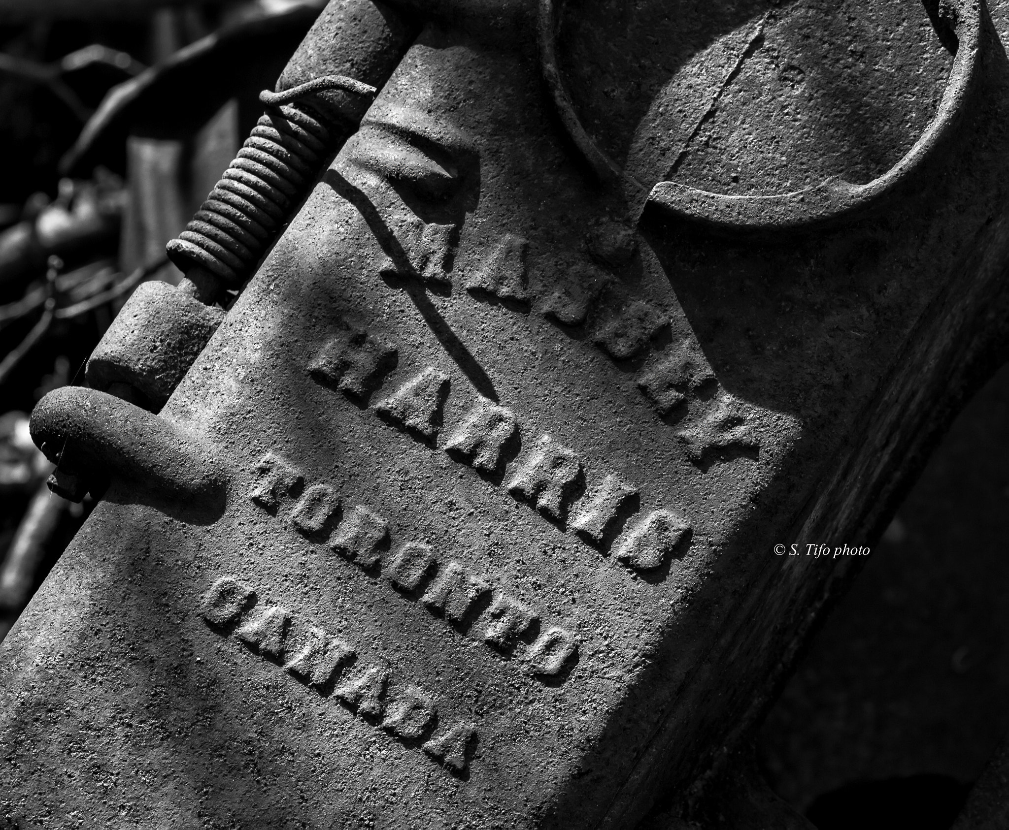 Sigma 105mm F2.8 EX DG OS HSM sample photo. Old one ... photography