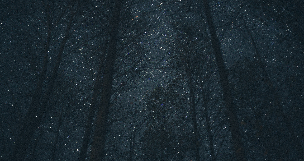 Minolta AF 50mm F1.4 [New] sample photo. Stars in southern sky photography
