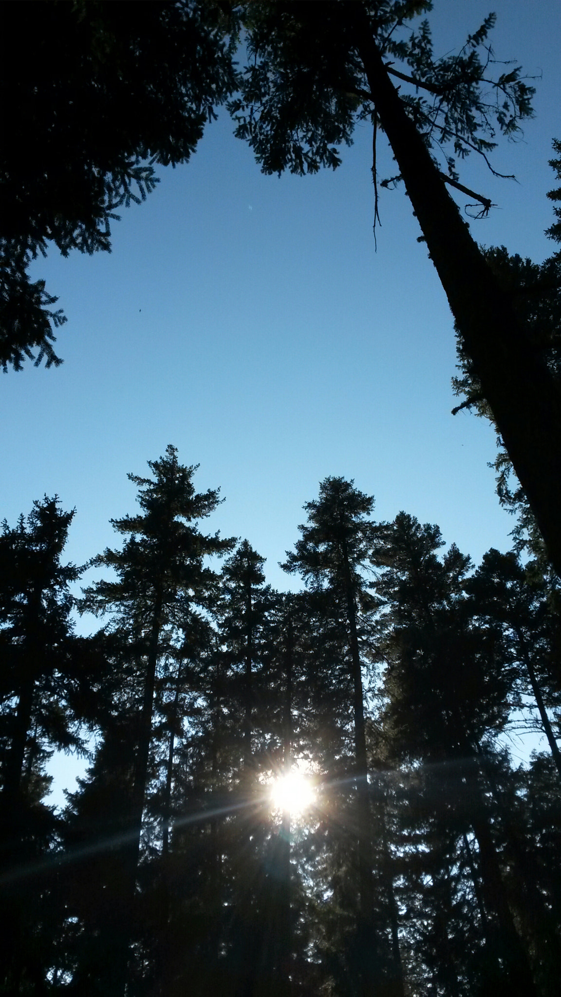 Samsung Galaxy S4 Active sample photo