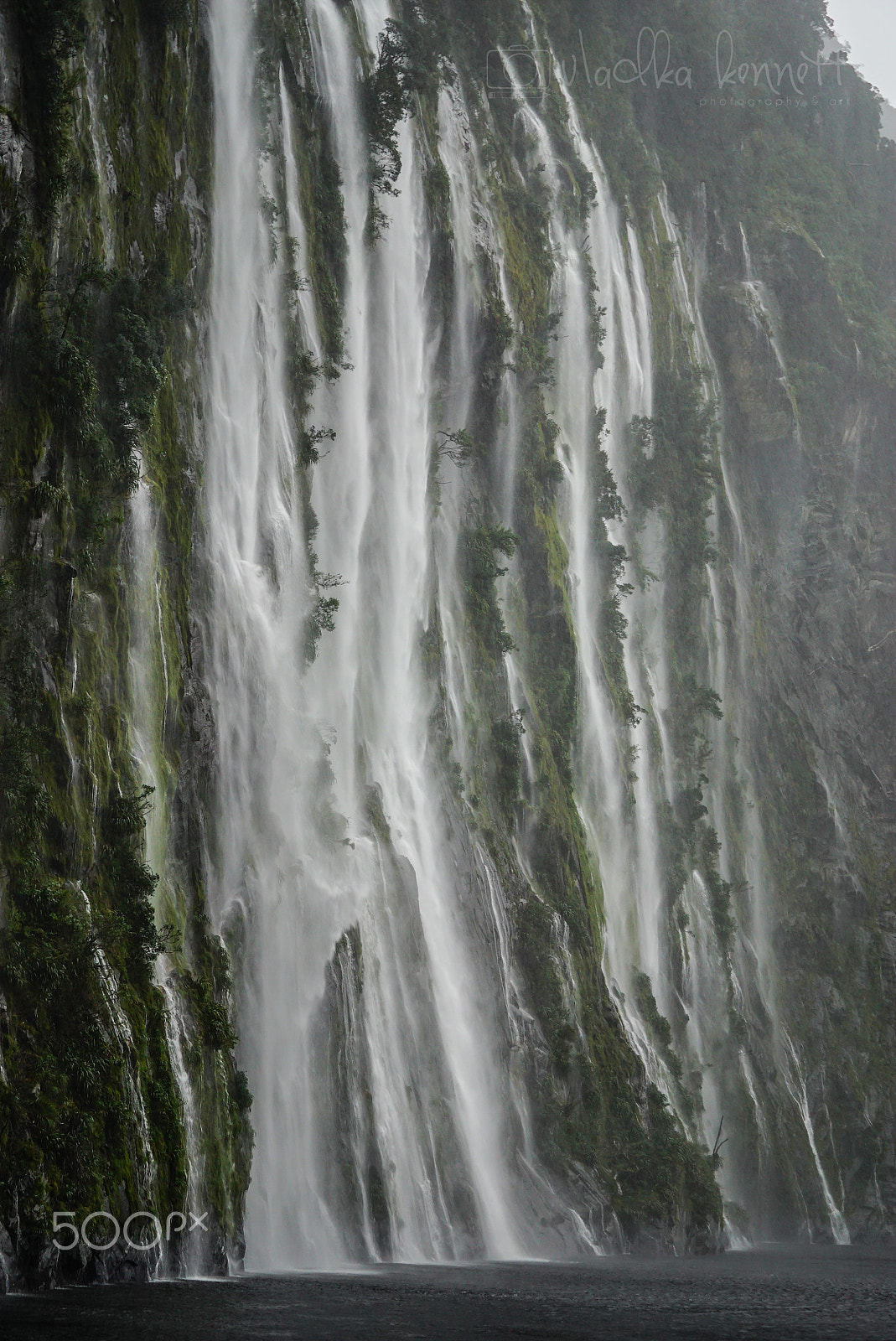 Sony a7S + Sony FE 70-200mm F4 G OSS sample photo. Wilderness discovery expedition, fiordland np photography