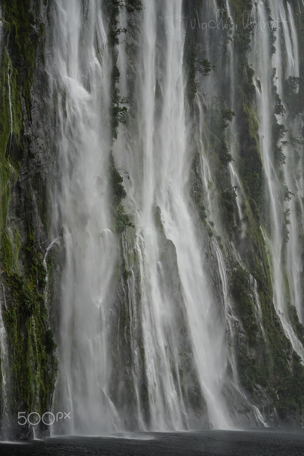 Sony a7S + Sony FE 70-200mm F4 G OSS sample photo. Wilderness discovery expedition, fiordland np photography