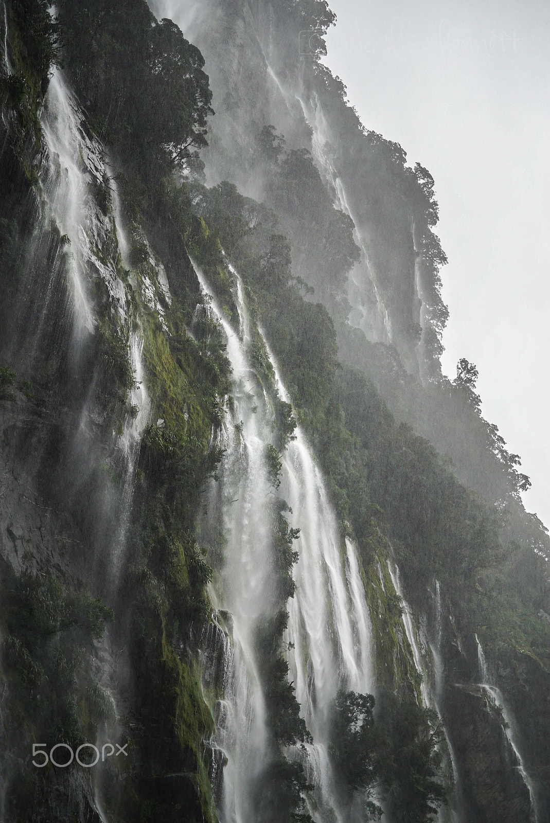 Sony a7S sample photo. Wilderness discovery expedition, fiordland np photography