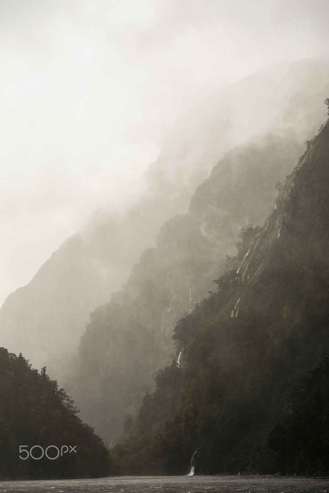 Sony a7S + Sony FE 70-200mm F4 G OSS sample photo. Wilderness discovery expedition, fiordland np photography