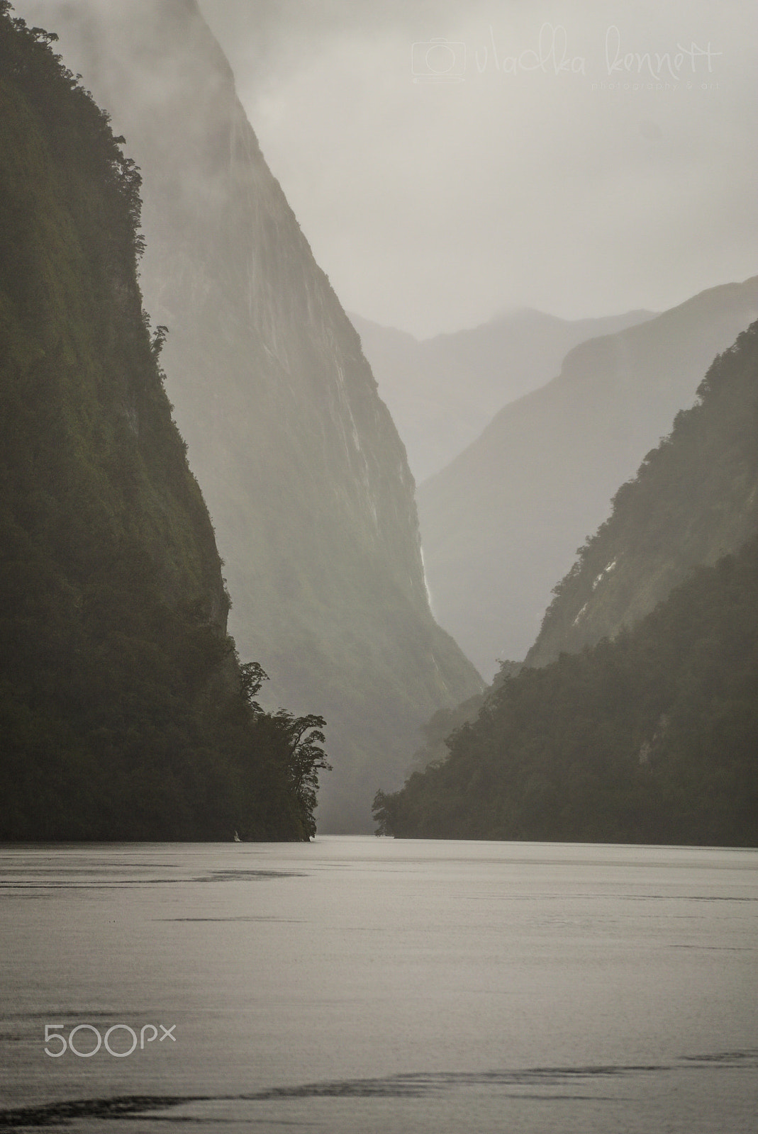 Sony a7S + Sony FE 70-200mm F4 G OSS sample photo. Wilderness discovery expedition, fiordland np photography