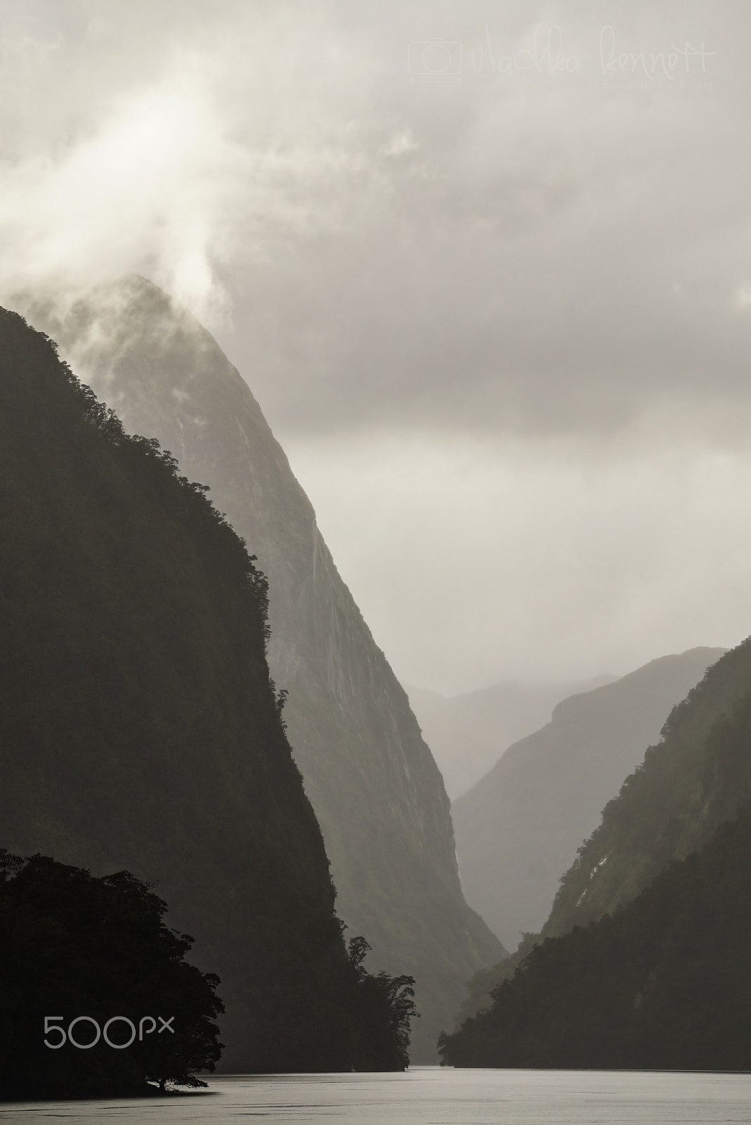 Sony a7S sample photo. Wilderness discovery expedition, fiordland np photography