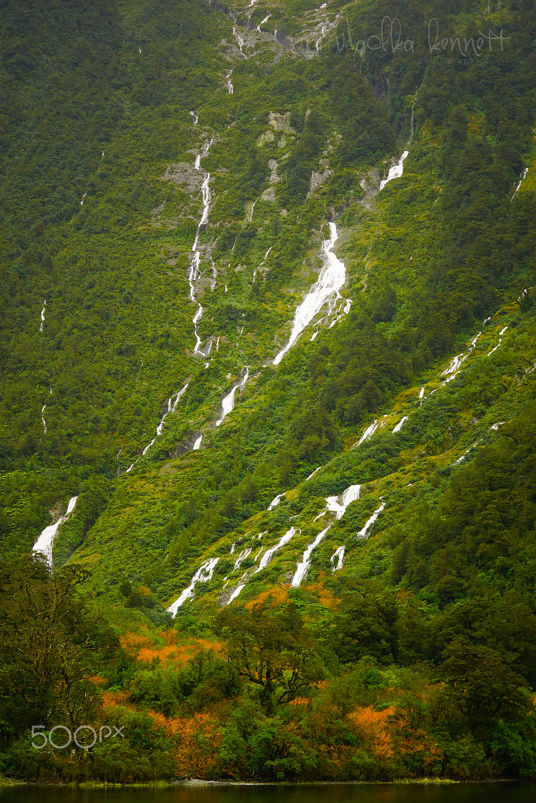 Sony a7S sample photo. Wilderness discovery expedition, fiordland np photography