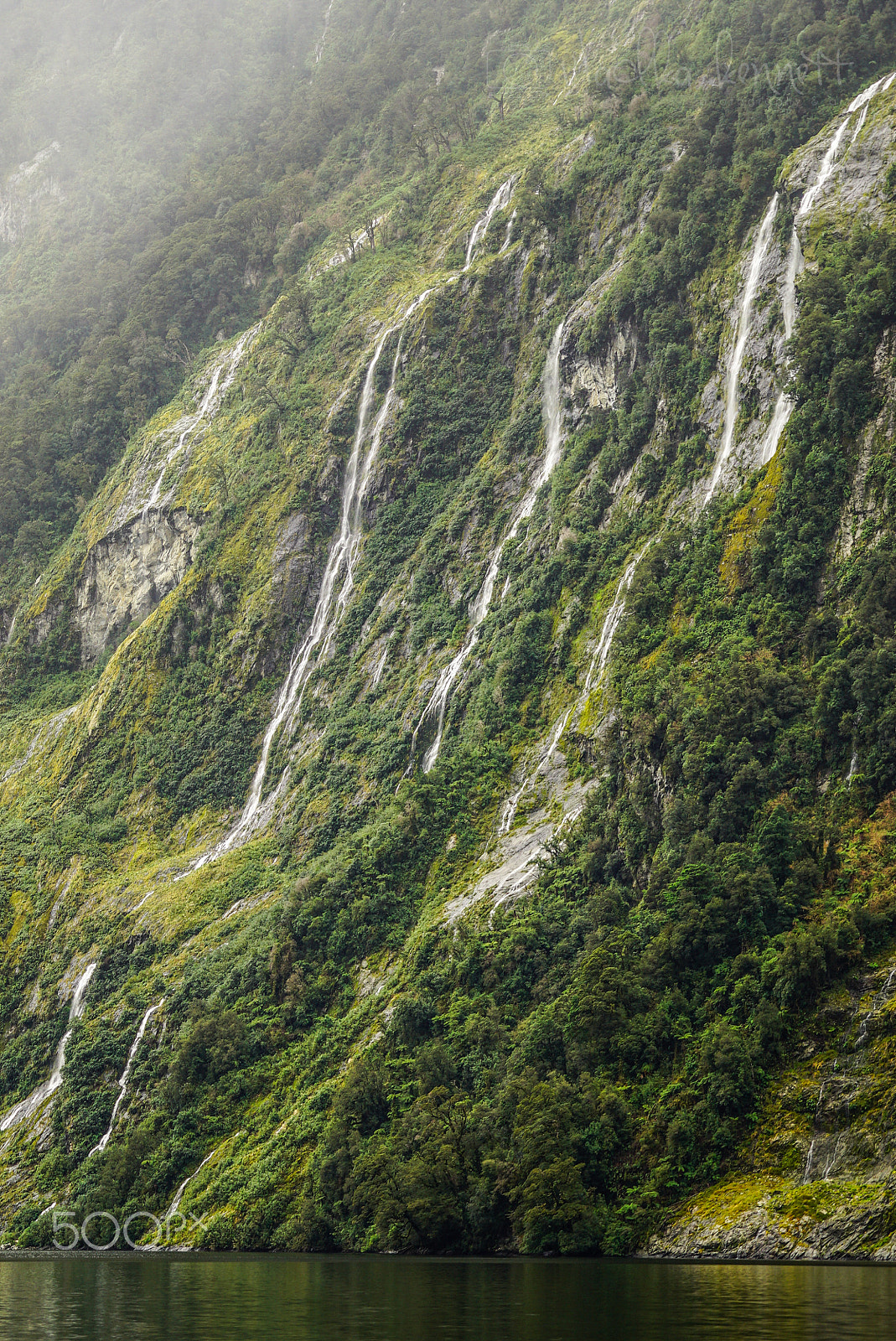 Sony a7S + Sony FE 70-200mm F4 G OSS sample photo. Wilderness discovery expedition, fiordland np photography