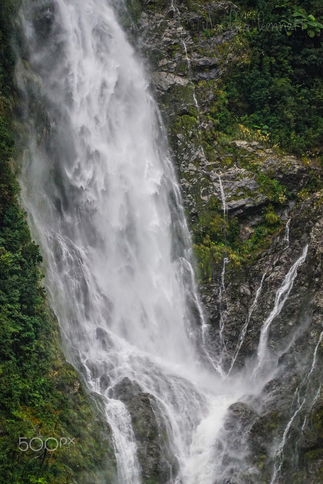 Sony a7S sample photo. Wilderness discovery expedition, fiordland np photography