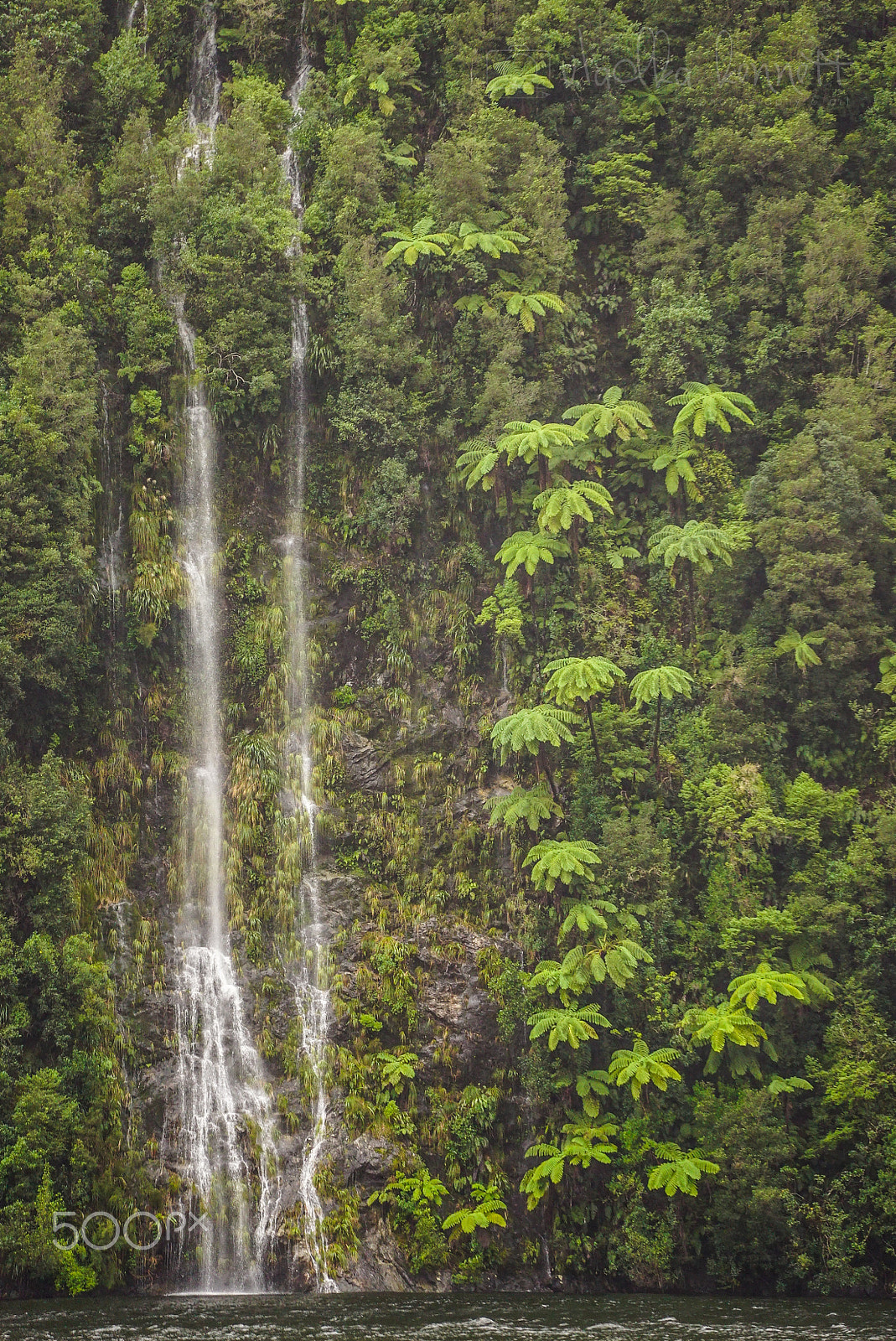 Sony a7S + Sony FE 70-200mm F4 G OSS sample photo. Wilderness discovery expedition, fiordland np photography