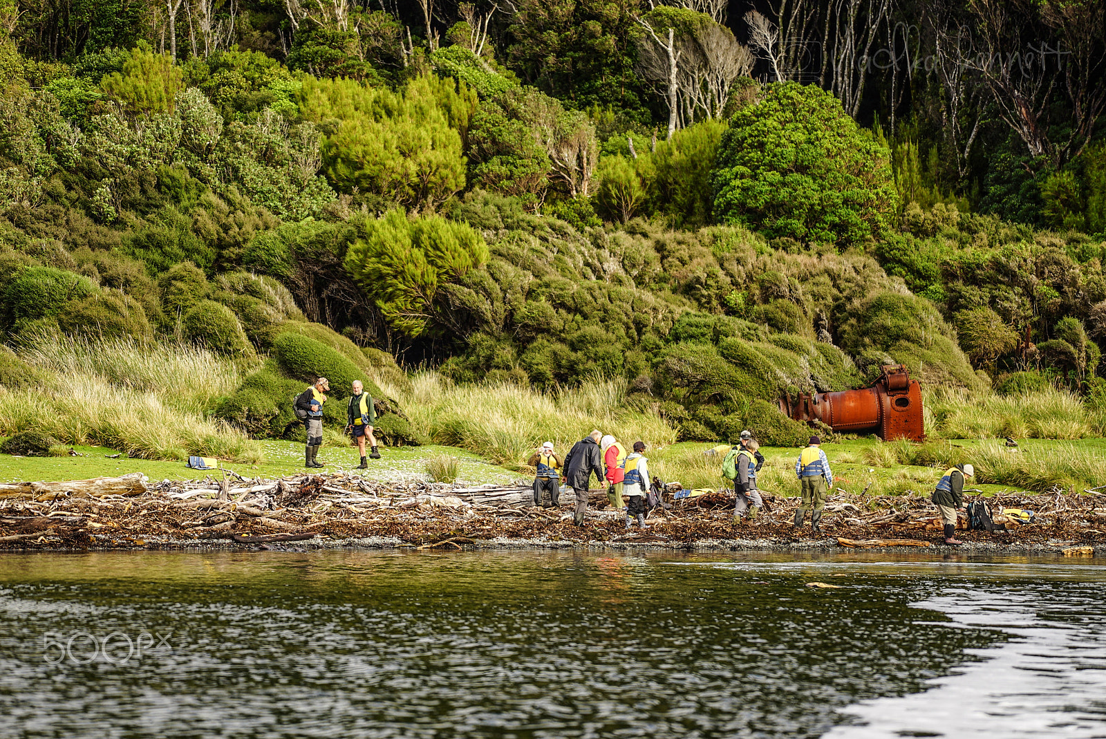 Sony a7S + Sony FE 70-200mm F4 G OSS sample photo. Wilderness discovery expedition, fiordland np photography