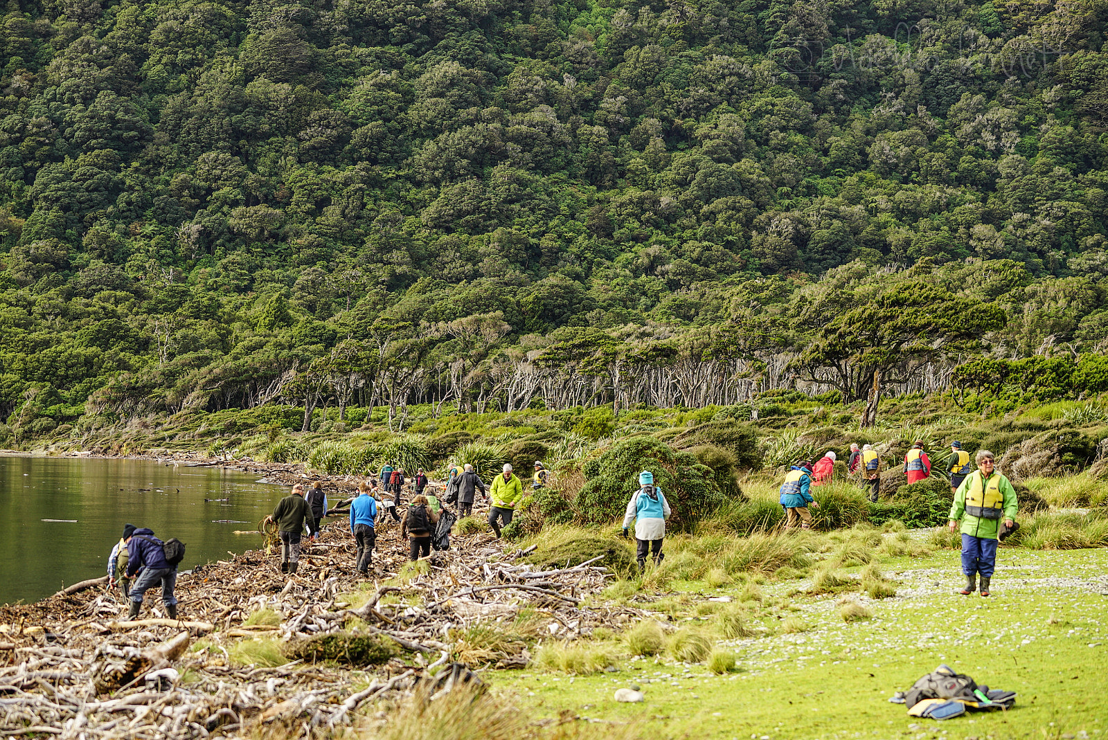 Sony a7S + Sony FE 70-200mm F4 G OSS sample photo. Wilderness discovery expedition, fiordland np photography