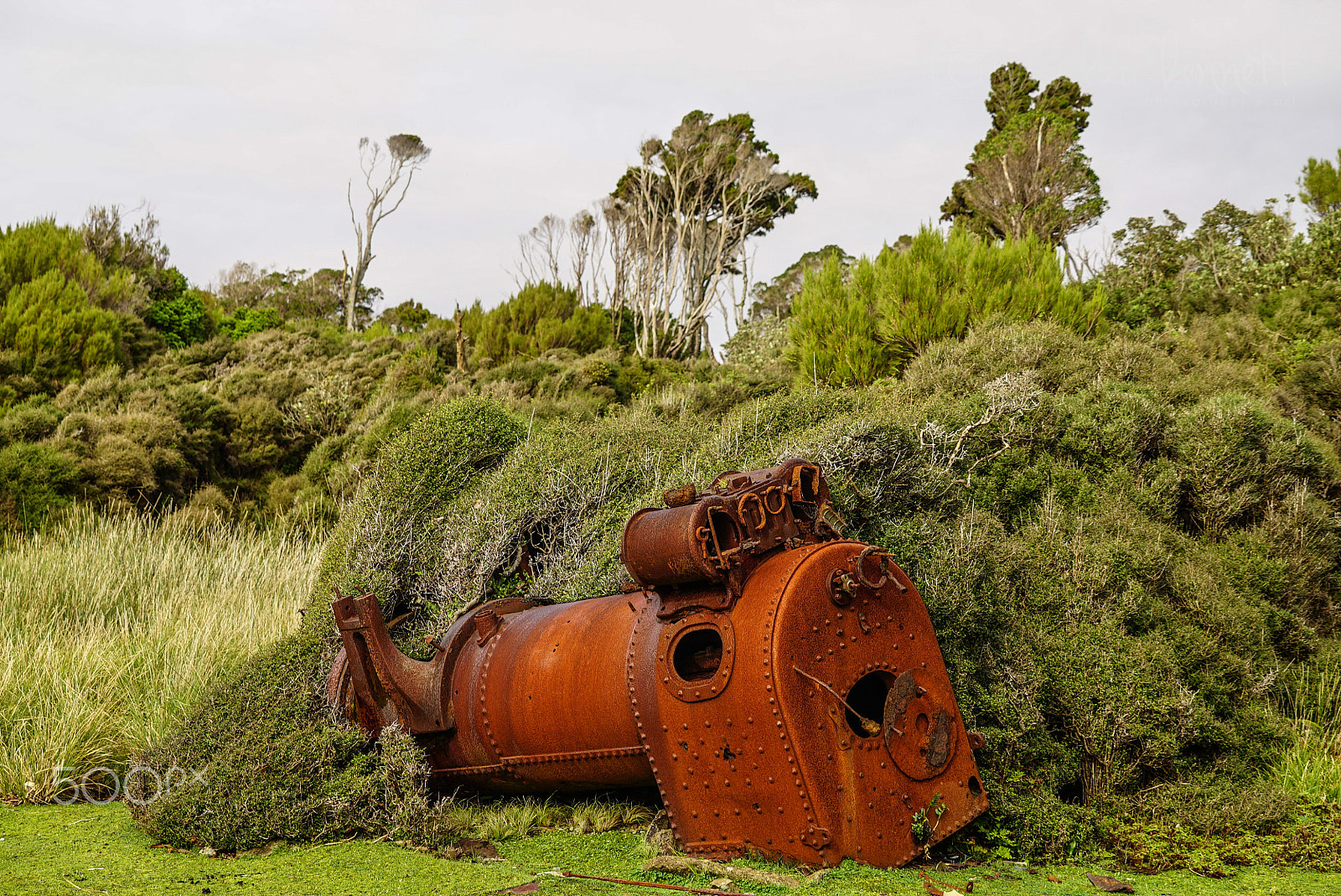 Sony a7S + Sony FE 70-200mm F4 G OSS sample photo. Wilderness discovery expedition, fiordland np photography