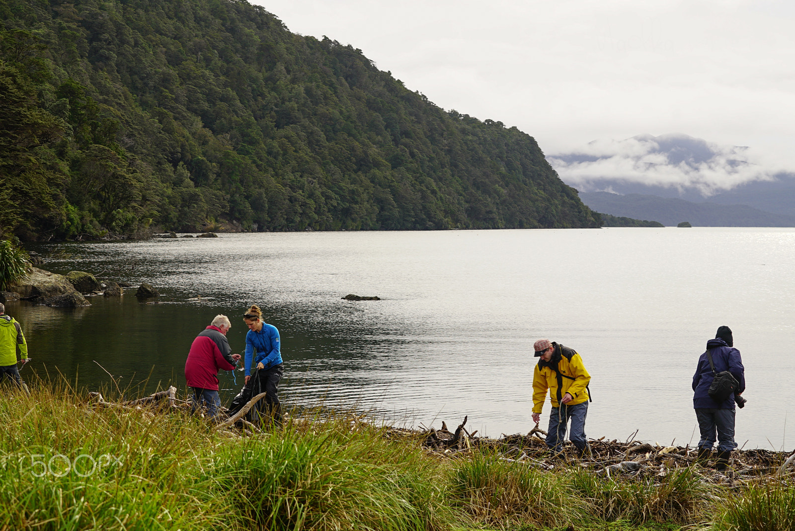 Sony a7S + Sony FE 70-200mm F4 G OSS sample photo. Wilderness discovery expedition, fiordland np photography