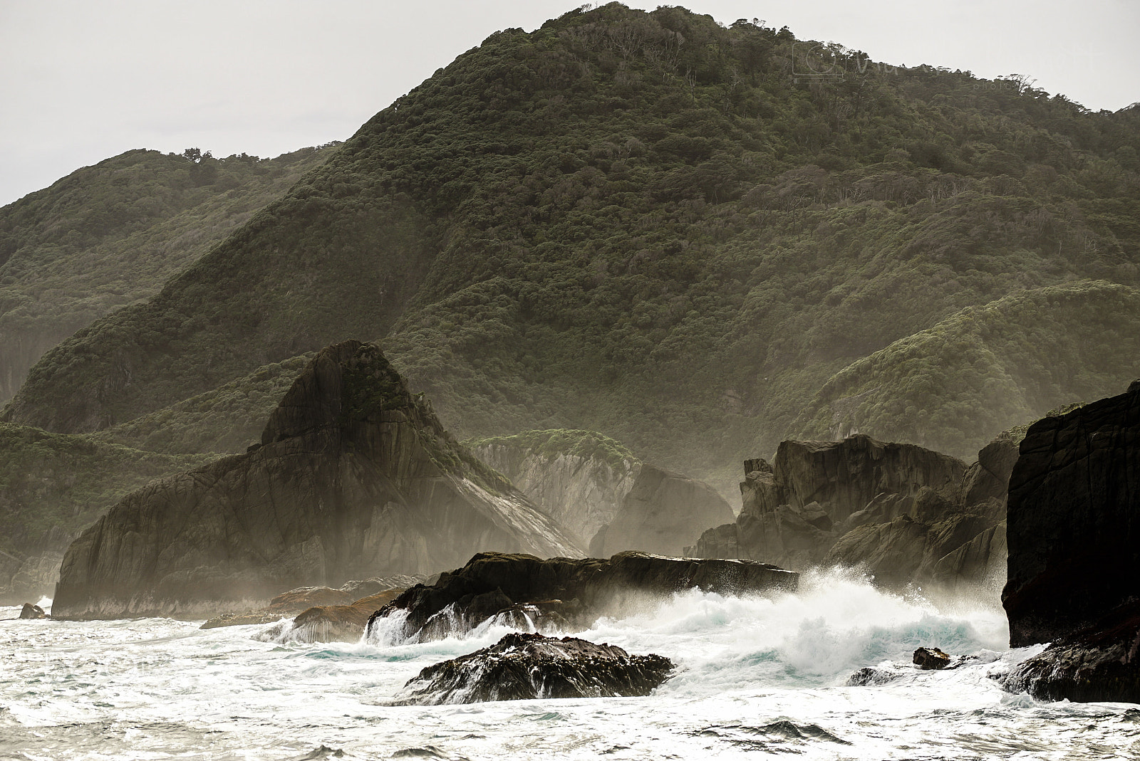 Sony a7S sample photo. Wilderness discovery expedition, fiordland np photography