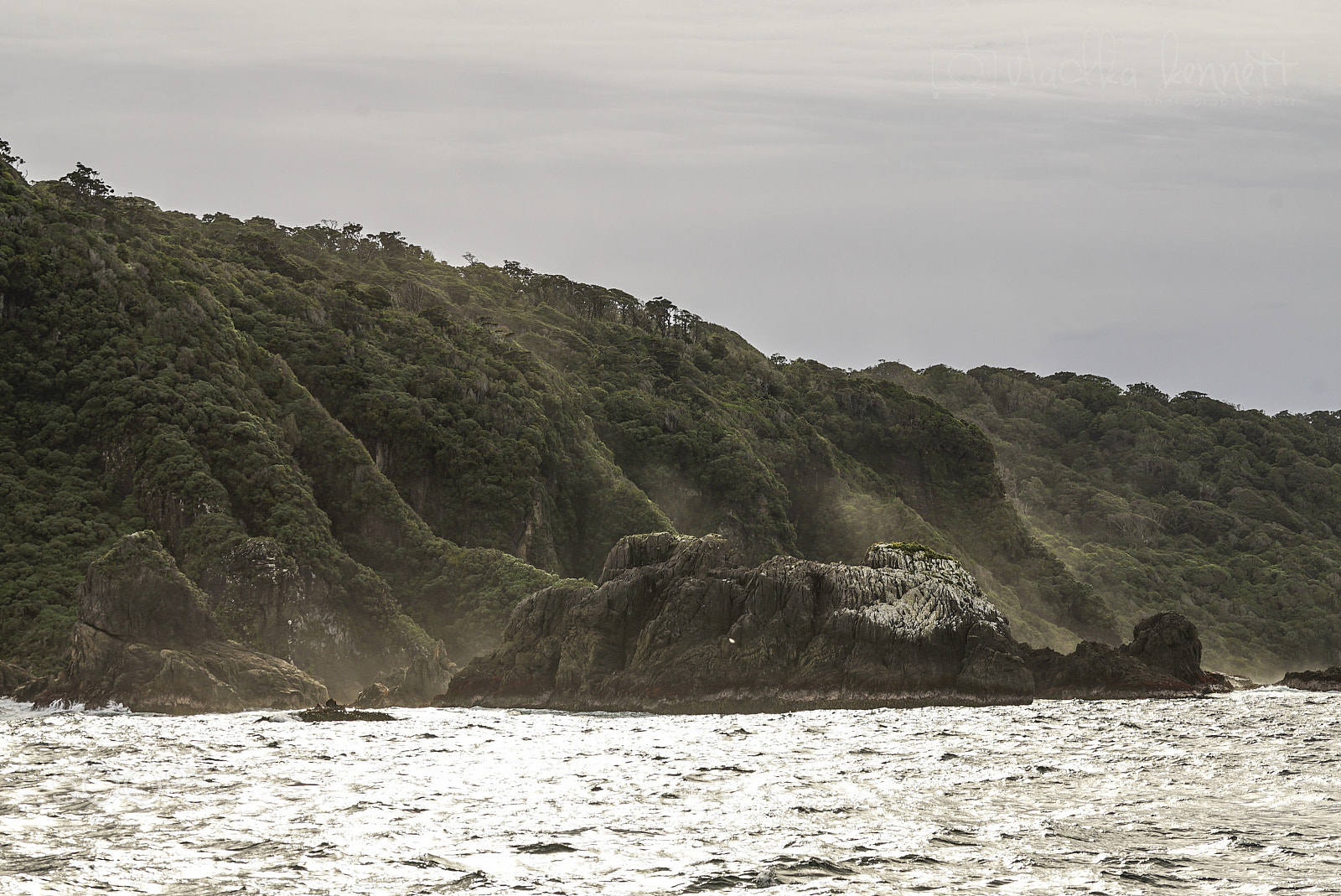 Sony a7S sample photo. Wilderness discovery expedition, fiordland np photography