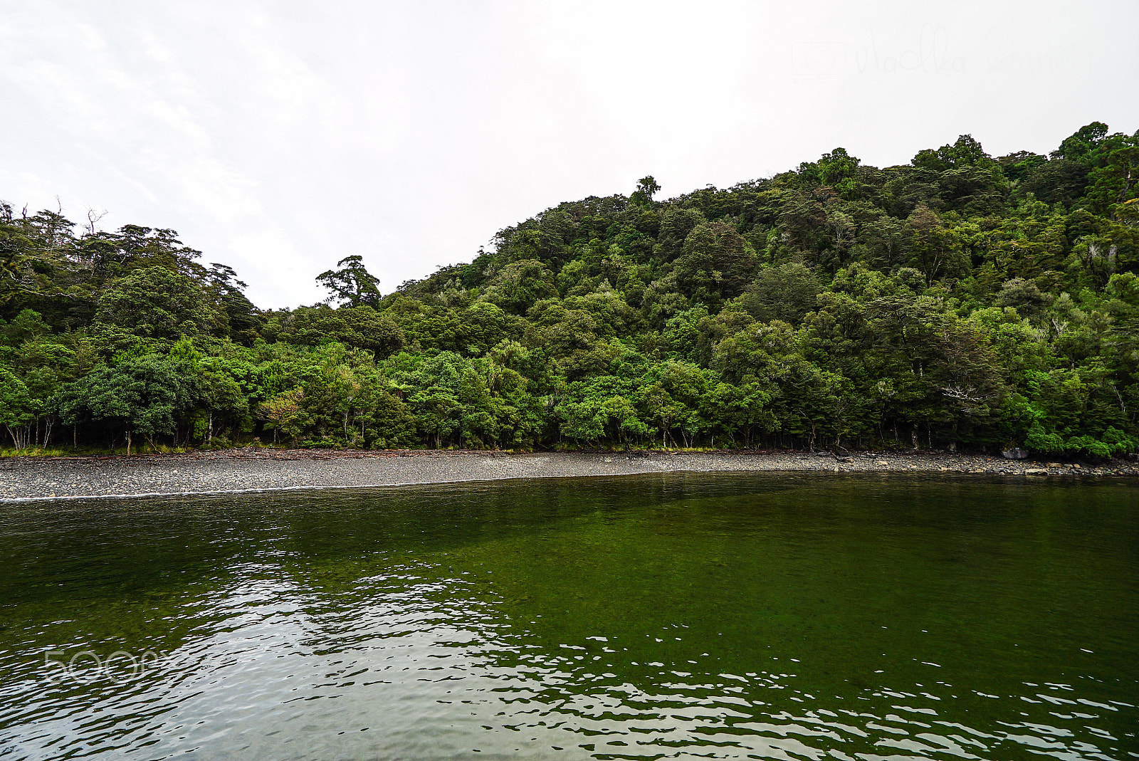 Sony a7S sample photo. Wilderness discovery expedition, fiordland np photography