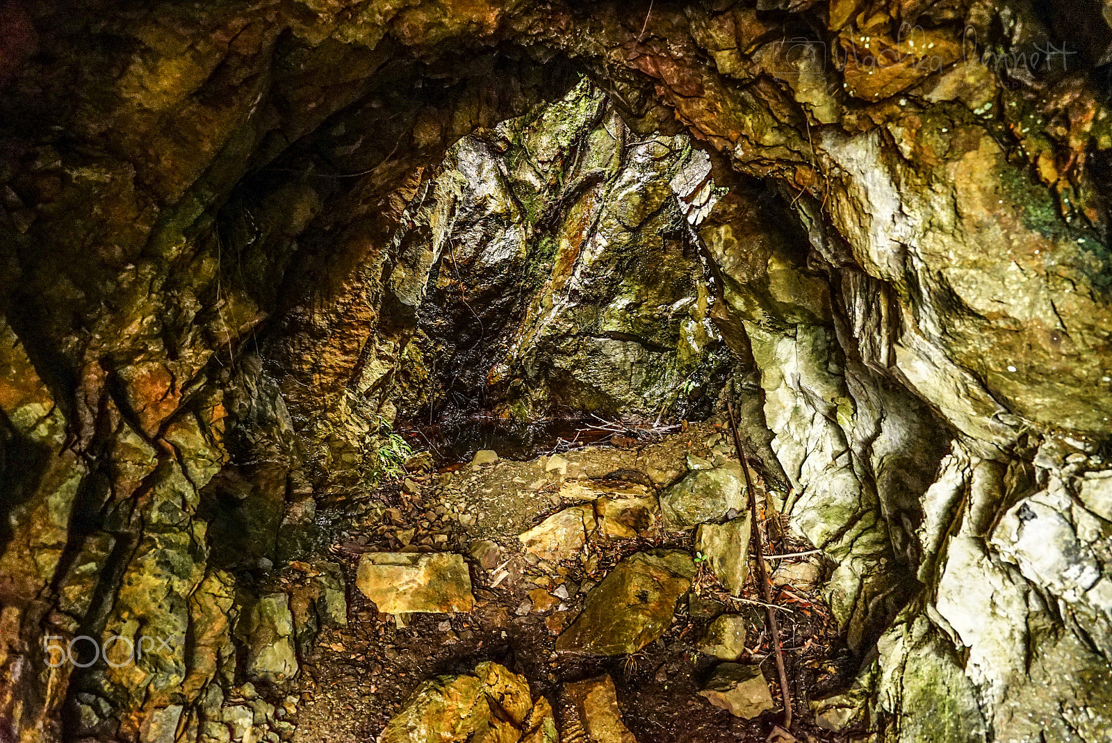 Sony a7S + Sony Vario-Tessar T* FE 16-35mm F4 ZA OSS sample photo. Wilderness discovery expedition, fiordland np photography