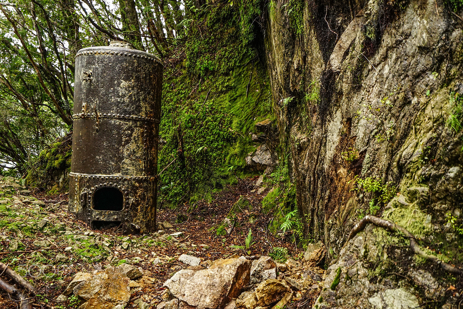 Sony a7S + Sony Vario-Tessar T* FE 16-35mm F4 ZA OSS sample photo. Wilderness discovery expedition, fiordland np photography