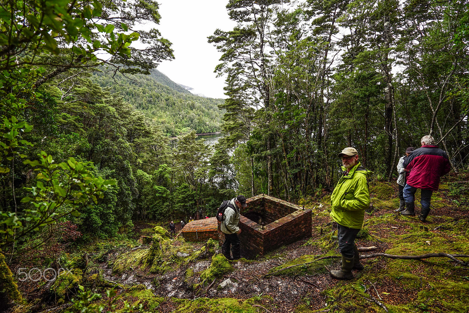 Sony a7S sample photo. Wilderness discovery expedition, fiordland np photography