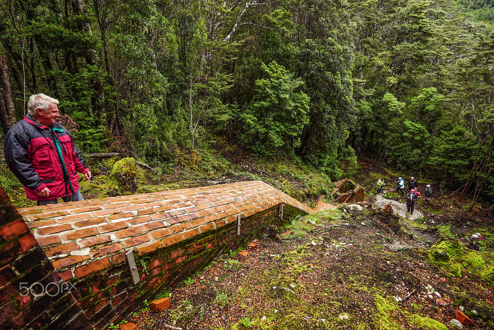 Sony a7S + Sony Vario-Tessar T* FE 16-35mm F4 ZA OSS sample photo. Wilderness discovery expedition, fiordland np photography