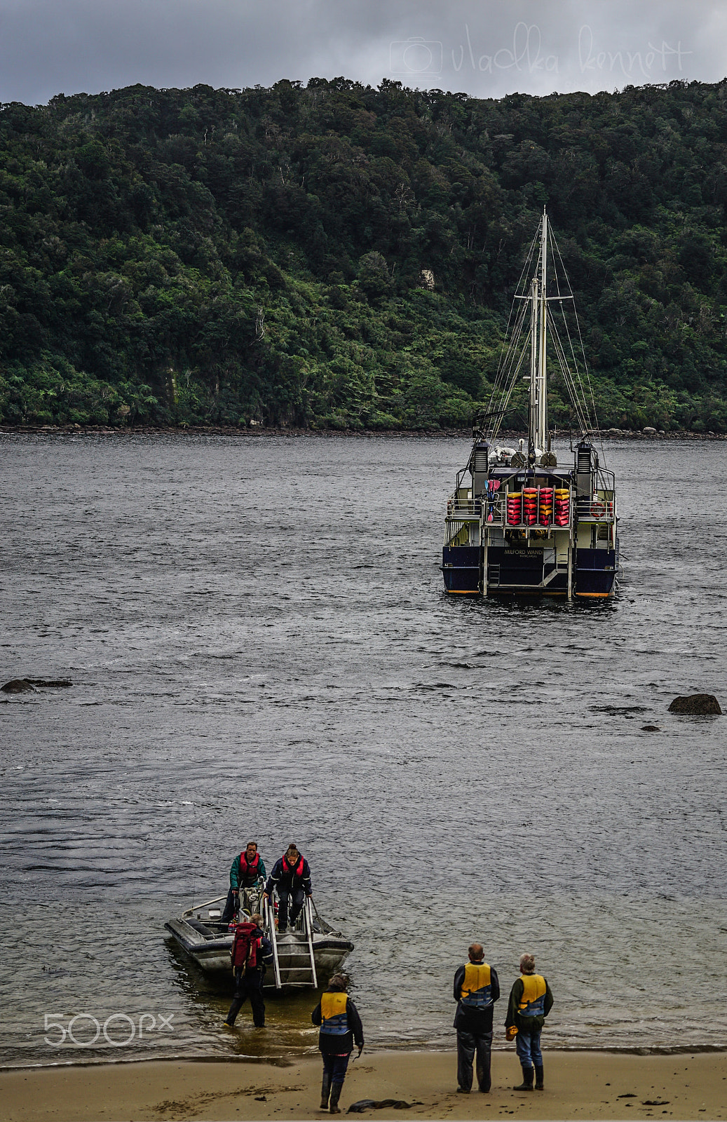 Sony a7S sample photo. Wilderness discovery expedition, fiordland np photography