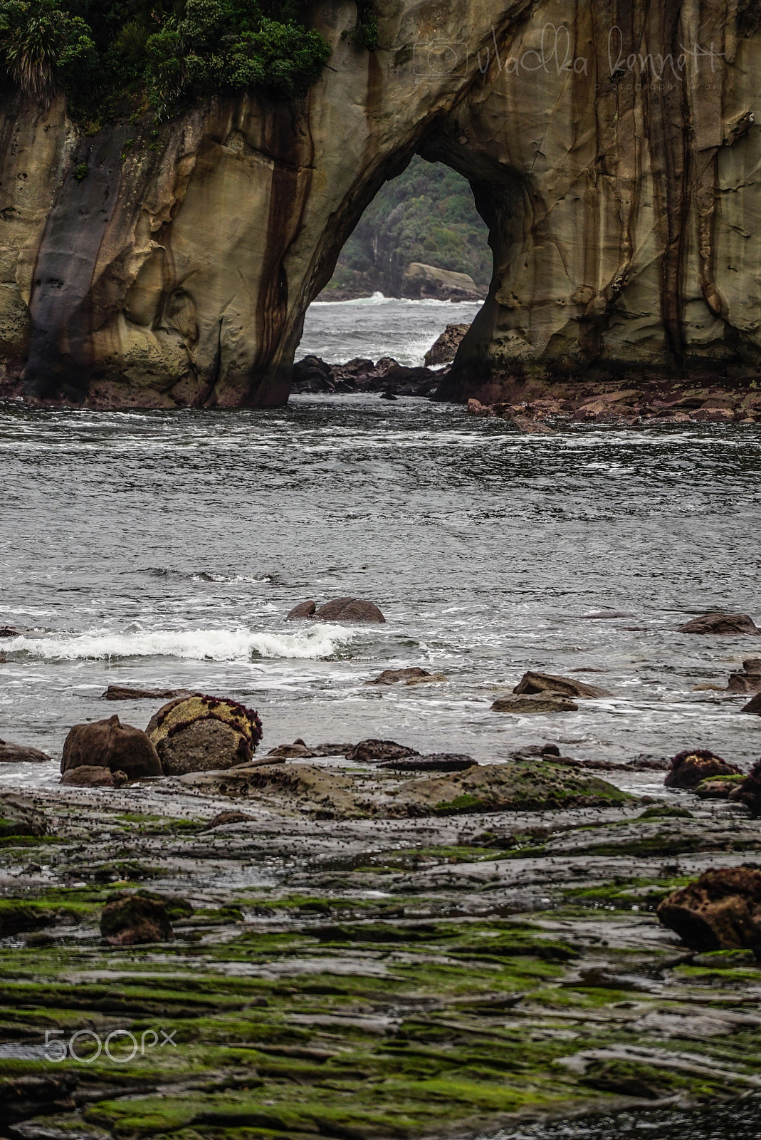 Sony a7S sample photo. Wilderness discovery expedition, fiordland np photography