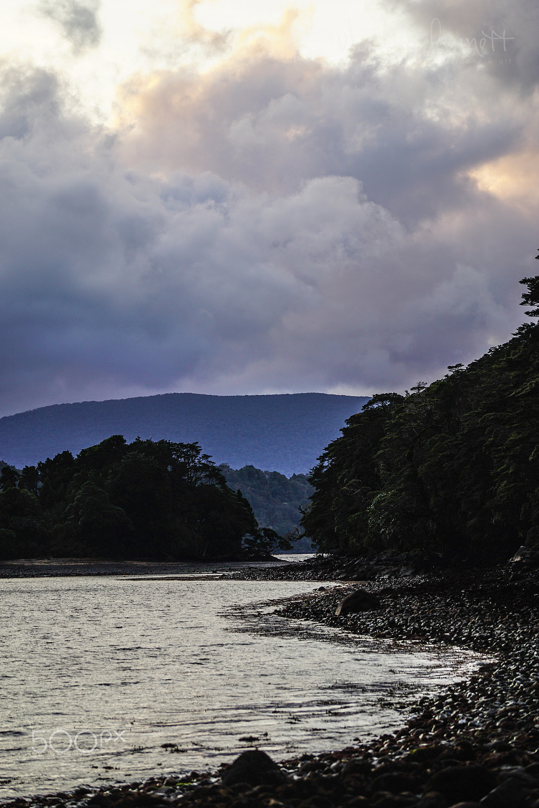 Sony a7S + Sony FE 70-200mm F4 G OSS sample photo. Wilderness discovery expedition, fiordland np photography