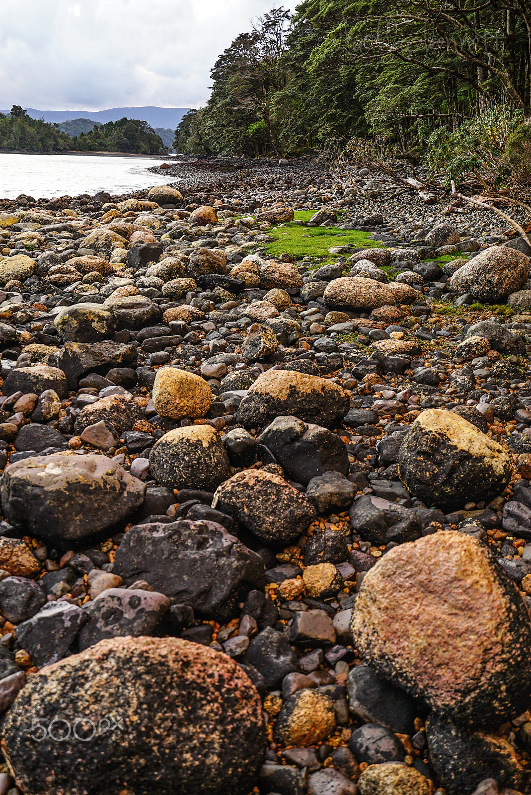 Sony a7S + Sony Vario-Tessar T* FE 16-35mm F4 ZA OSS sample photo. Wilderness discovery expedition, fiordland np photography