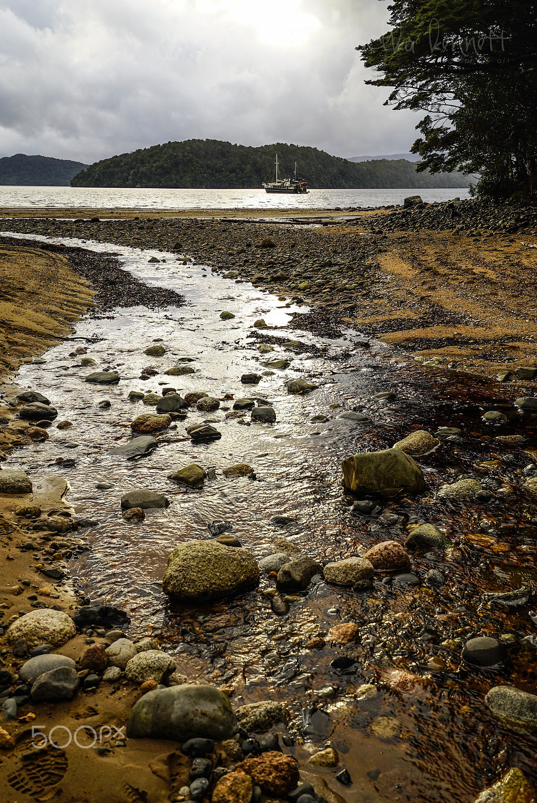 Sony a7S + Sony Vario-Tessar T* FE 16-35mm F4 ZA OSS sample photo. Wilderness discovery expedition, fiordland np photography