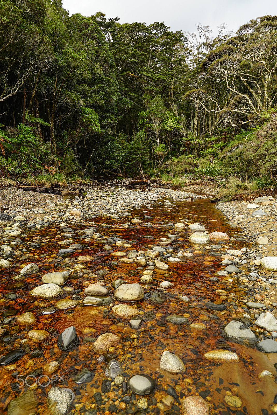 Sony a7S sample photo. Wilderness discovery expedition, fiordland np photography