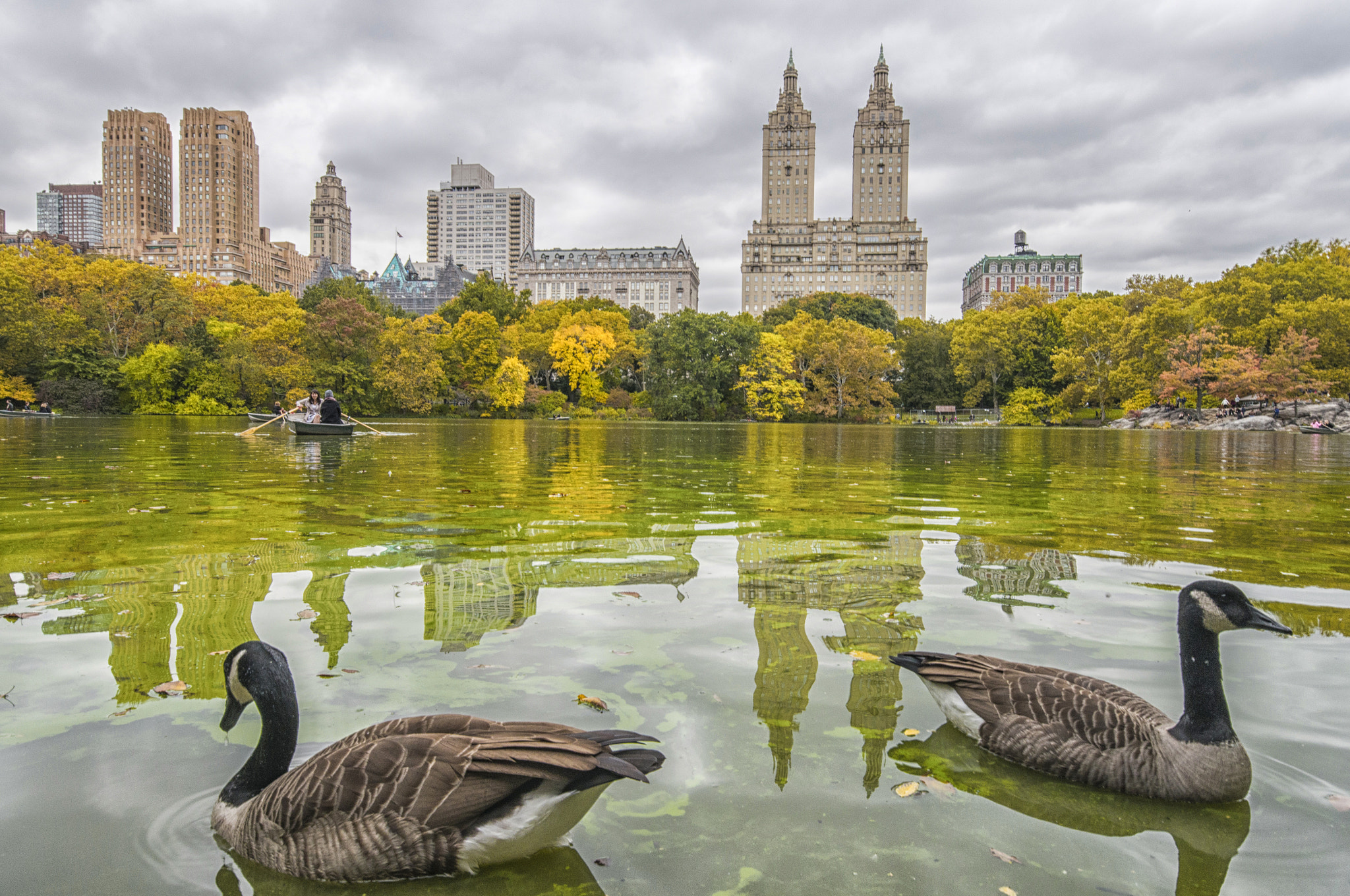 Sigma 10-20mm F4-5.6 EX DC HSM sample photo. Central park lake photography