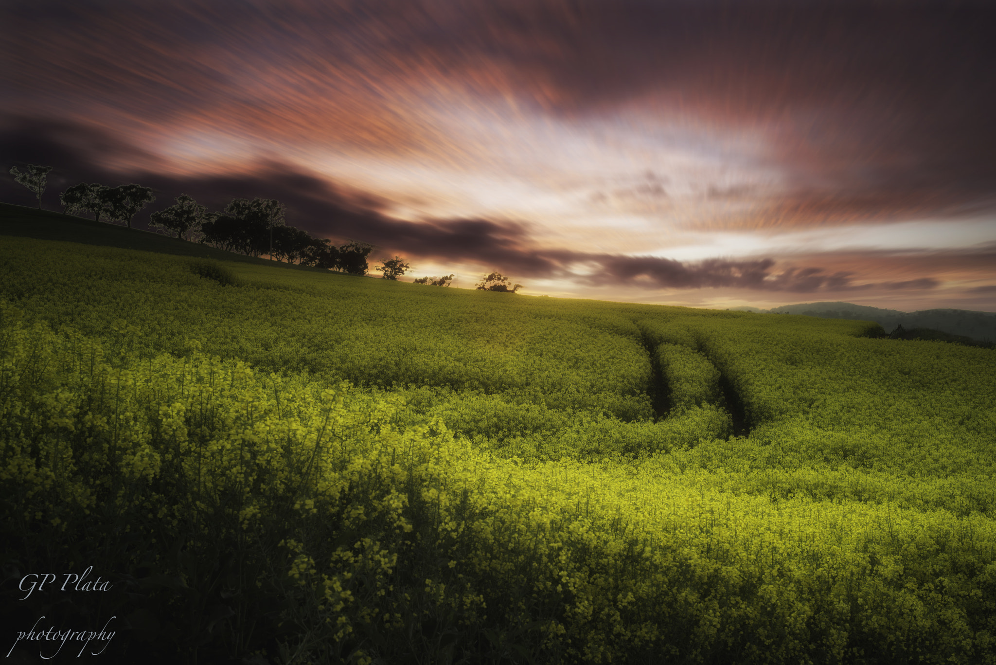 Nikon D800E + Nikon AF Nikkor 50mm F1.8D sample photo. Cootamundra photography