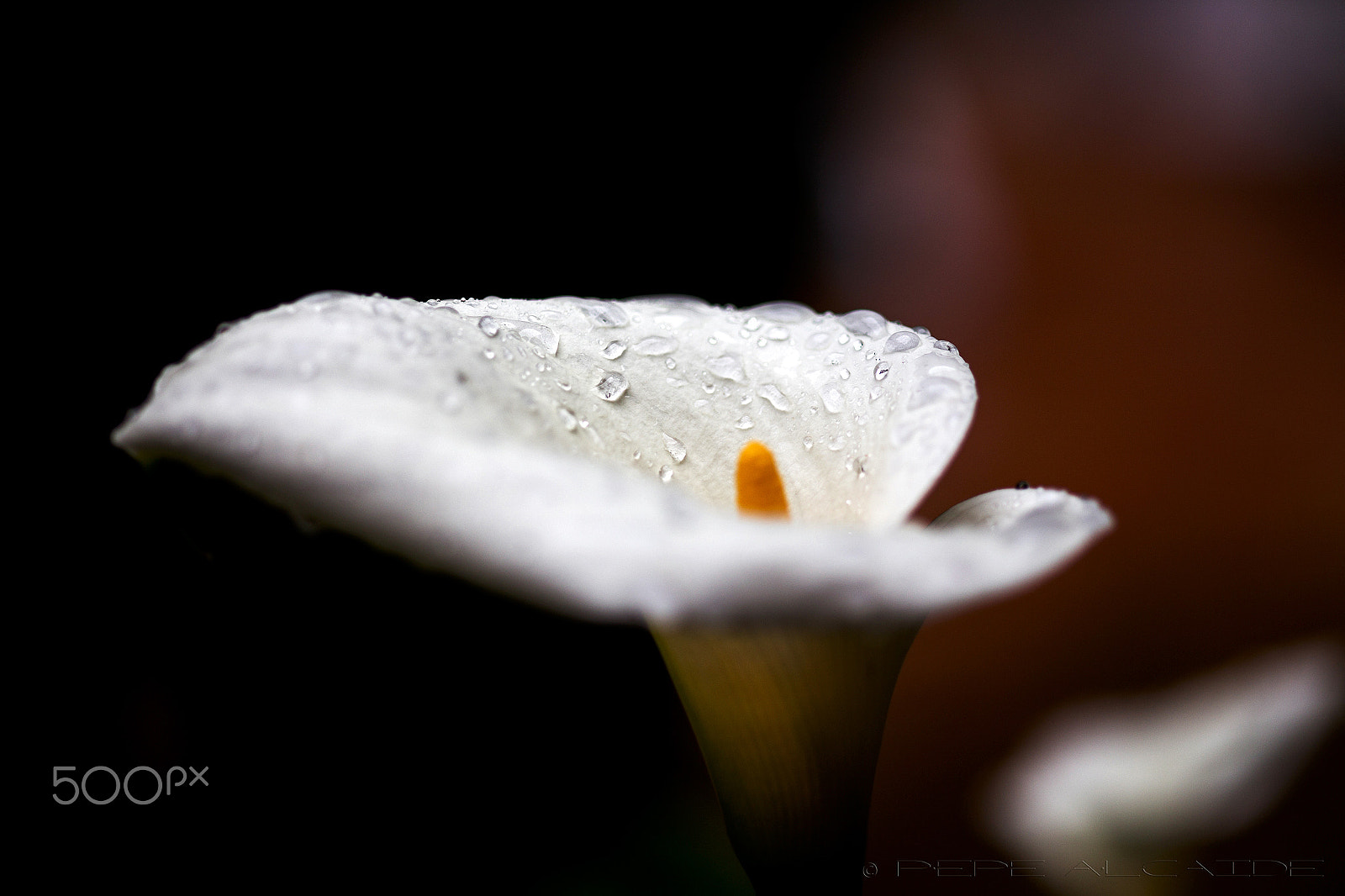 Canon EF 100-200mm f/4.5A sample photo. Cala calada photography