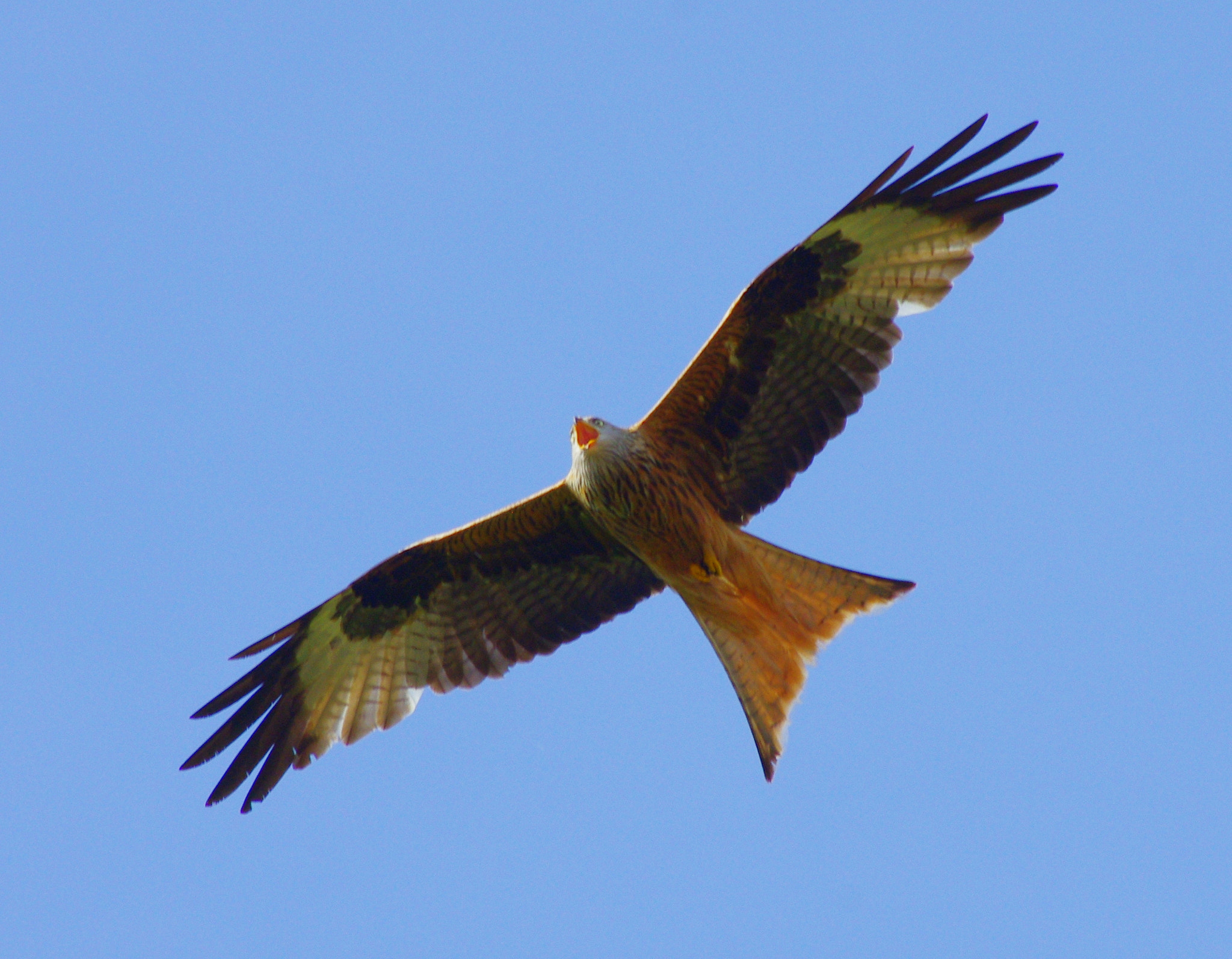 smc PENTAX-DA L 55-300mm F4-5.8 ED sample photo. Overflight photography