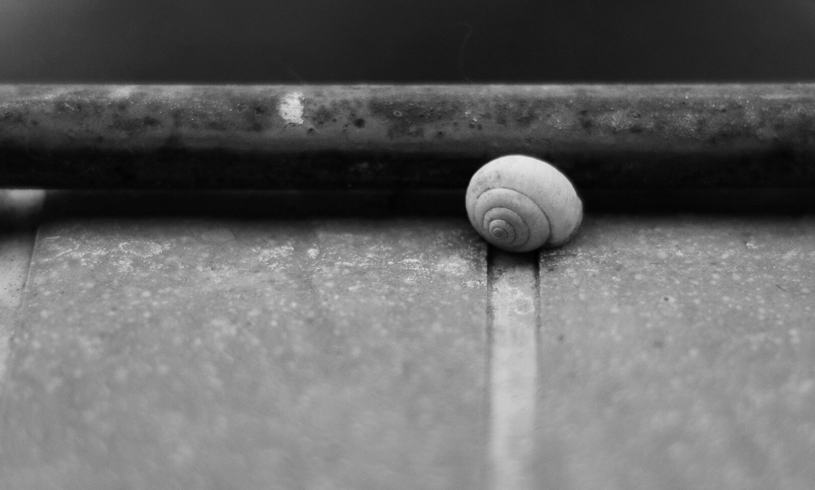 Nikon D70 + Nikon AF Nikkor 50mm F1.8D sample photo
