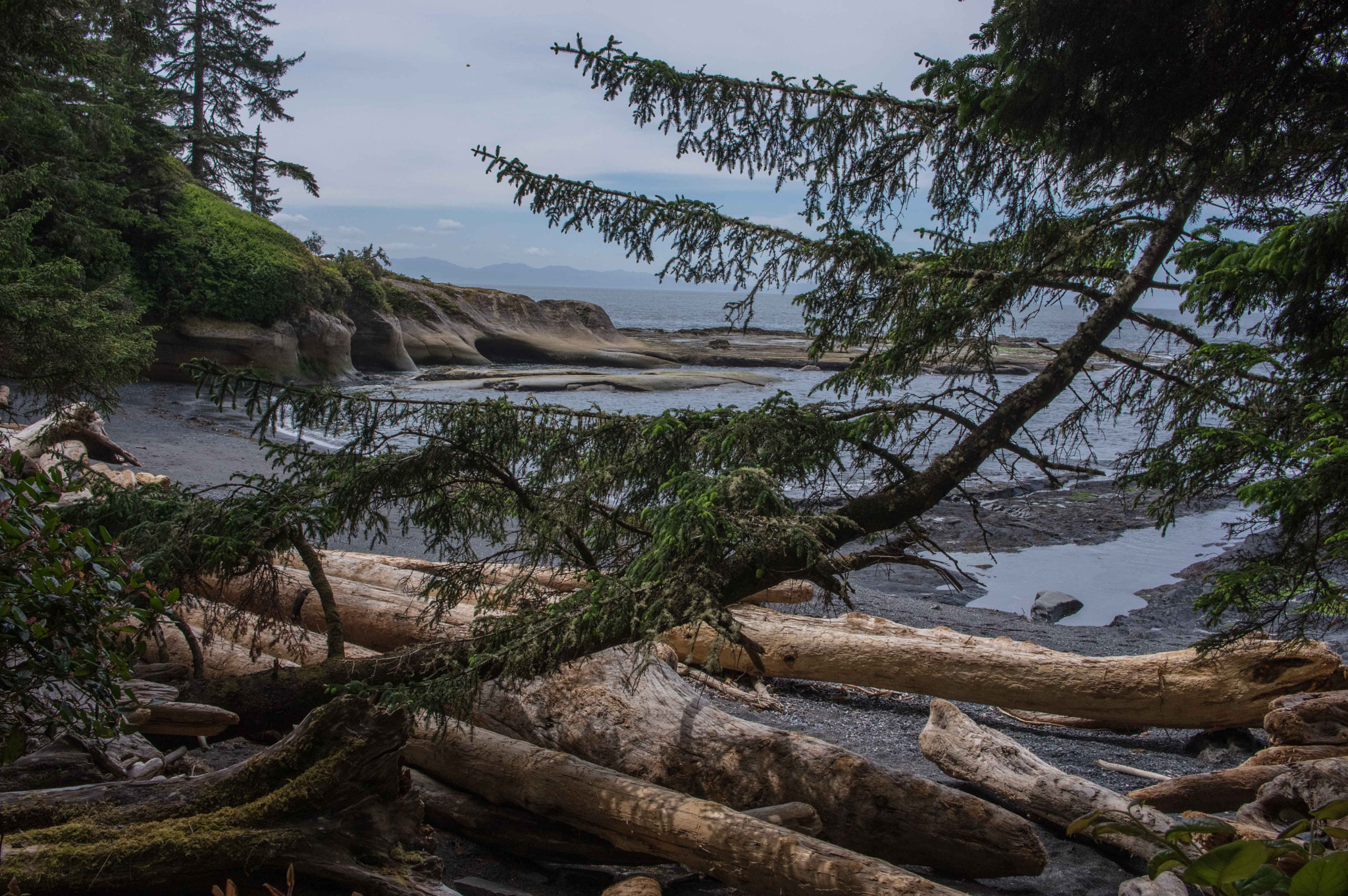 Pentax smc DA 21mm F3.2 AL Limited sample photo. Juan de fuca trail photography
