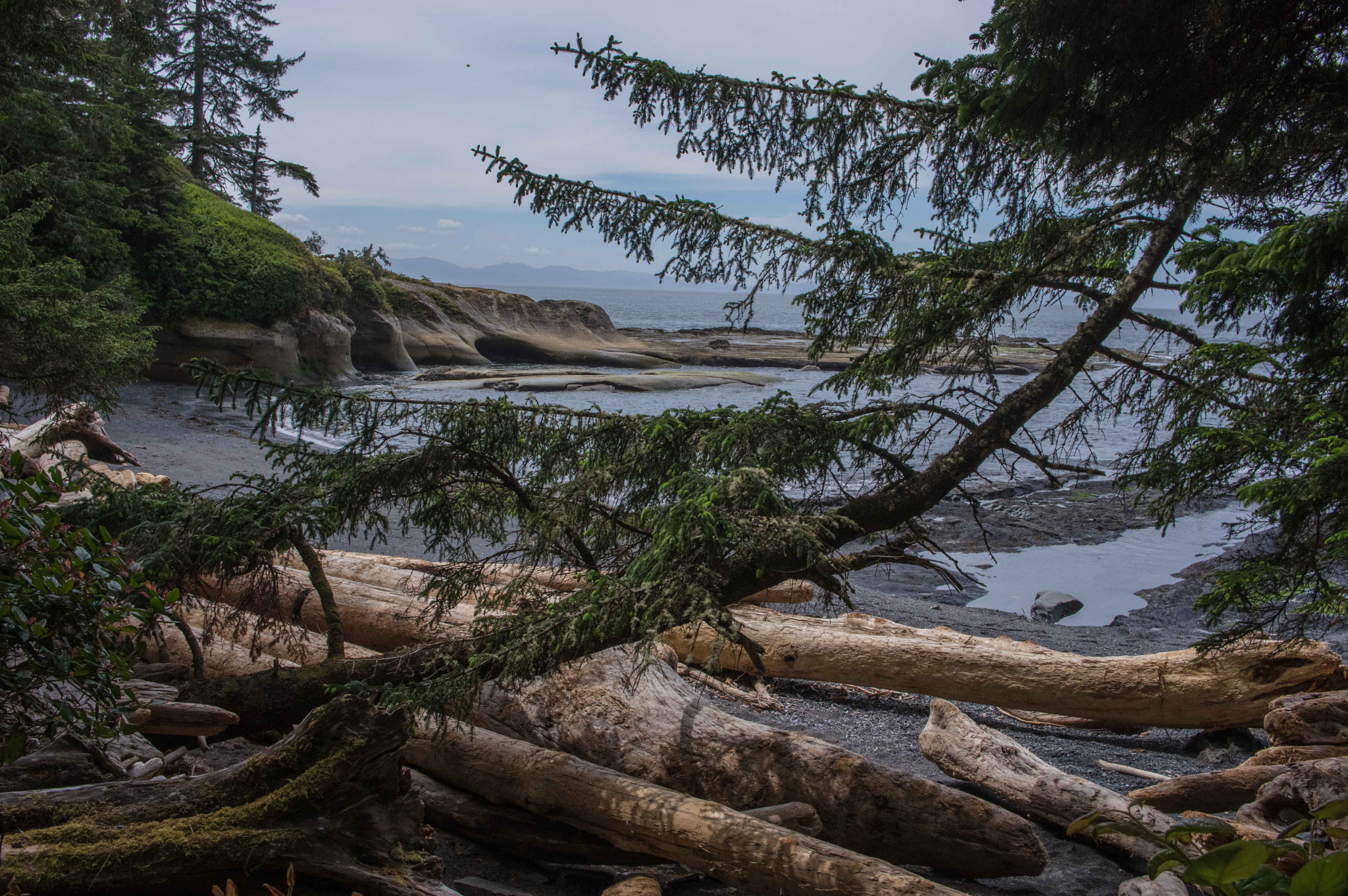 Pentax K-3 sample photo. Juan de fuca trail photography